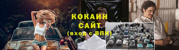 эйфоретик Бородино