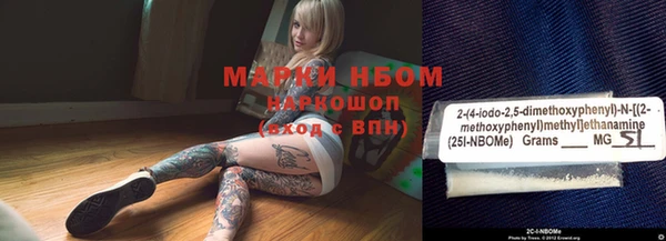 индика Бронницы