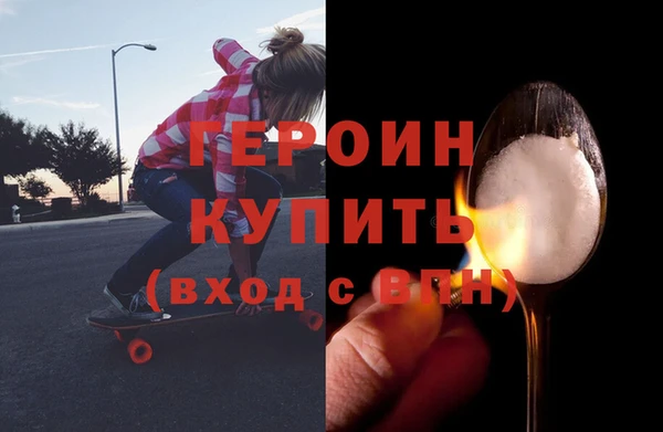 индика Бронницы