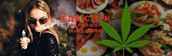 индика Бронницы