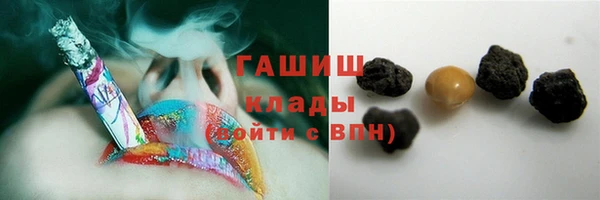 индика Бронницы