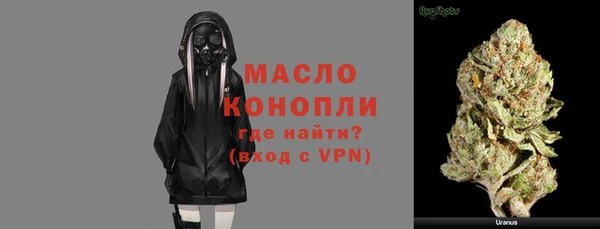 индика Бронницы