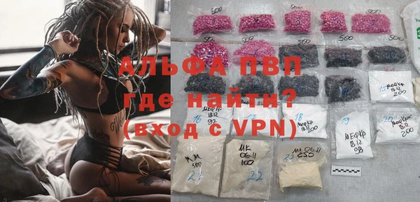 индика Бронницы