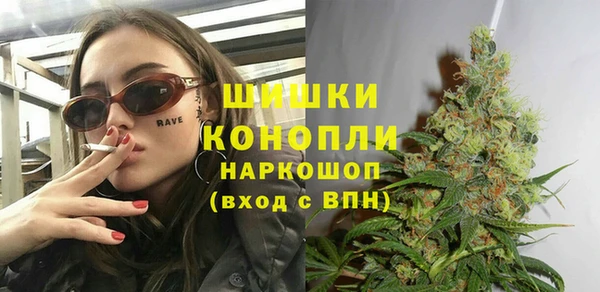 эйфоретик Бородино