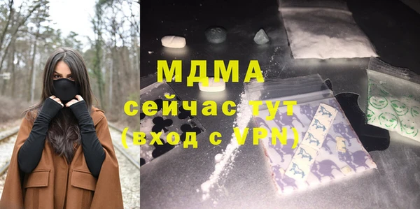 индика Бронницы