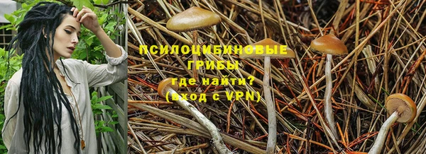 индика Бронницы