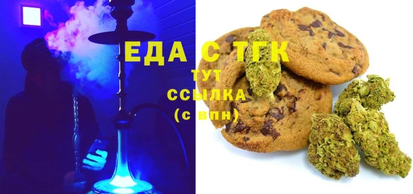 индика Бронницы